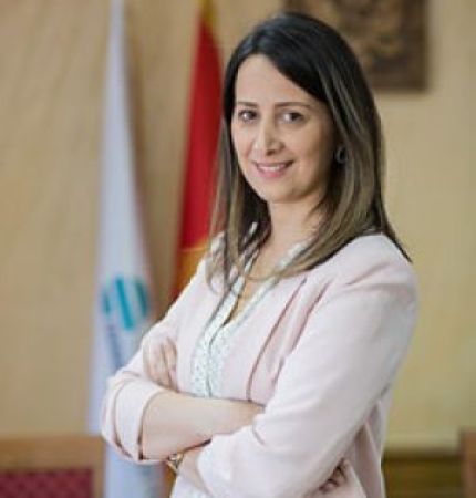 Assistant Professor